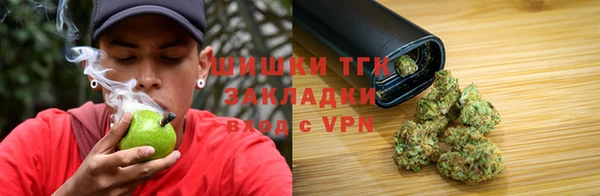 твердый Белая Холуница