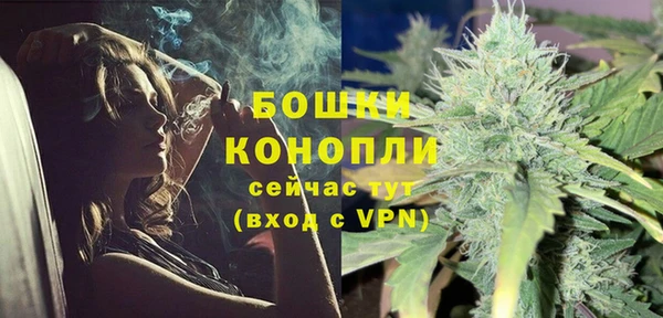 прущие грибы Осинники