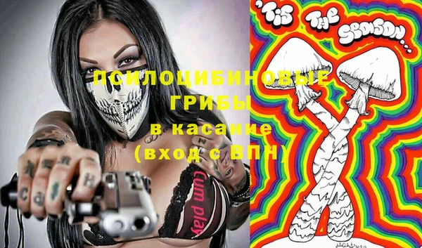 меф Пересвет