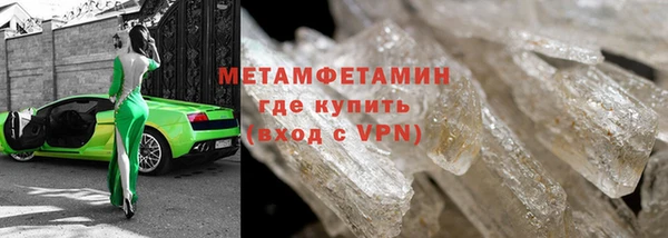 прущие грибы Осинники