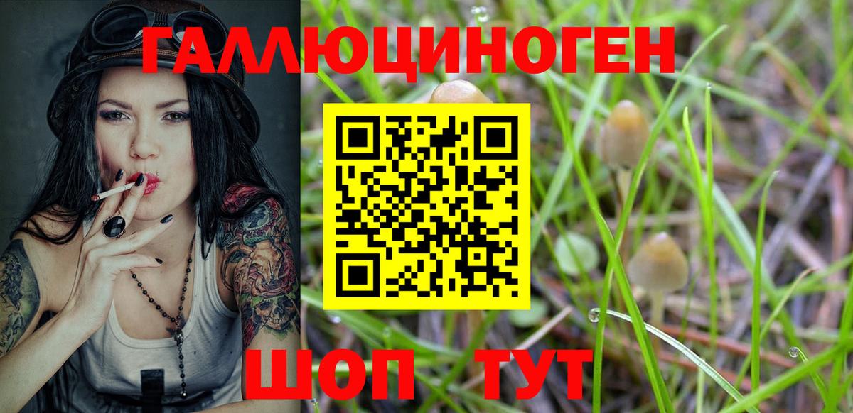 Псилоцибиновые грибы GOLDEN TEACHER  Борзя 