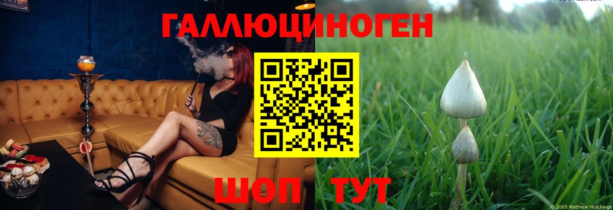 Борзя  Псилоцибиновые грибы прущие грибы  Вход с VPN 
